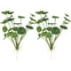 thumbnail image 1 of 2 hojas de loto artificiales decorativas para fiestas., 1 of 8