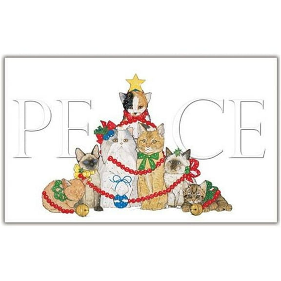 Pipsqueak Productions  Cat Holiday Boxed Cards - Multi-colored - 12 Cards and 12 Envelopes