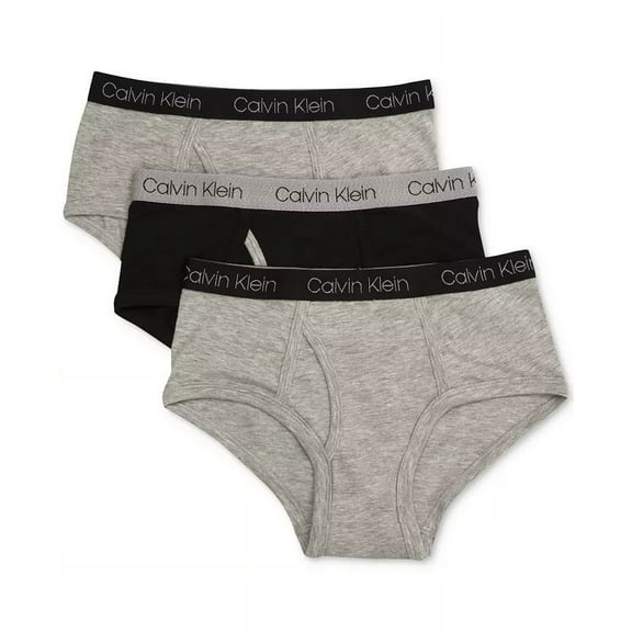 Calvin Klein HEATHER GREY Little Boys & Big Boys 3-Pk. Cotton Briefs, US Medium