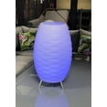 thumbnail image 1 of Dura Vegas LED Ice Bucket Light, 1 of 3