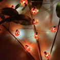 thumbnail image 6 of LINLIN Ladybird String Lights, 9.8ft 30 LED Ladybug Fairy Lights Battery Operated Silver Wire Lights Decor Light for Bedroom, Party, Wedding, Patio, Christmas, 6 of 7