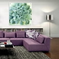 thumbnail image 6 of Epic Art 'Verdant Succulent II' by Grace Popp, Acrylic Wall Glass, 36"x36", 6 of 7