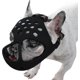 thumbnail image 1 of Short Snout Dog Muzzle,soft Silicone Adjustable Breathable Bulldog Muzzle For French Bulldog Shih Tzu And Pug For Biting Chewing Training, 1 of 5