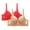 #1_2PCsBeige, variant on 2 Packs Floral Secret Comfort Rose Bra,Lace Eyelet Bras for Women Full Coverage Shelf Bra Seamless Front Closure Bralettes Support Push Up Plus Size Brassieres Sets