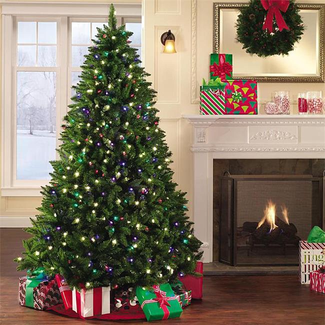 BirdDog CDT-22180CW 6 ft. Pre-Lit LED Christmas Trees - Premium Douglas Fir & Spruce Hybrid 