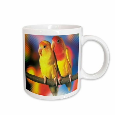 

3dRose Tropical Love Birds Ceramic Mug 15-ounce