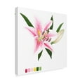 thumbnail image 2 of Trademark Fine Art 'Brighton Blooms II' Canvas Art by Naomi McCavitt, 2 of 4