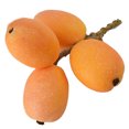 thumbnail image 1 of Coofit Faux Fruit Simulé Loquat Mousse Décorative Faux Fruit Fruit Prop, 1 of 8