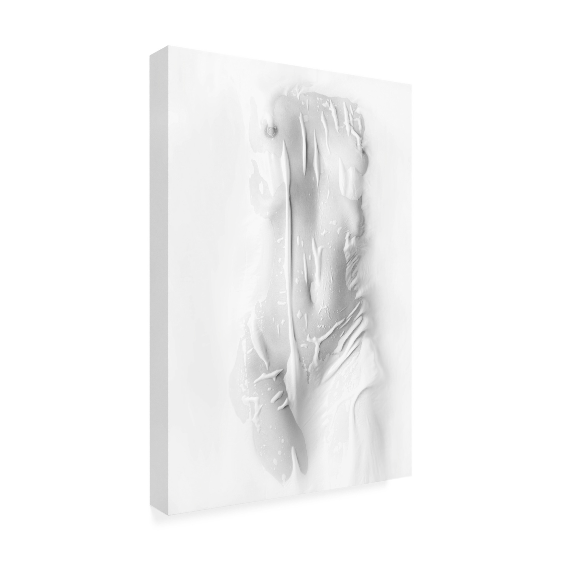 Trademark Fine Art Boris Belokonov Purity Canvas Wall Art