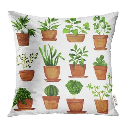 CMFUN Brown House of Doodle Plants By Watercolor Green Pot Vase Cactus Cartoon Herbal Pillowcase Cushion Cover 18x18