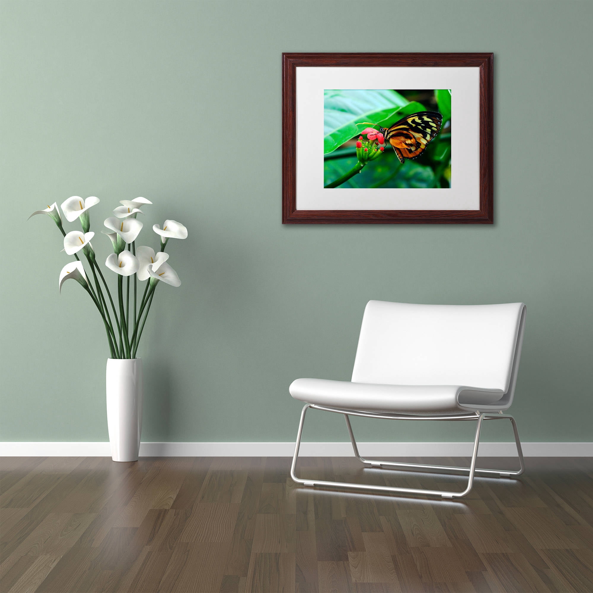 Trademark Fine Art "Cream Spotted Tigerwing" Canvas Art by Kurt Shaffer, White Matte, Wood Frame