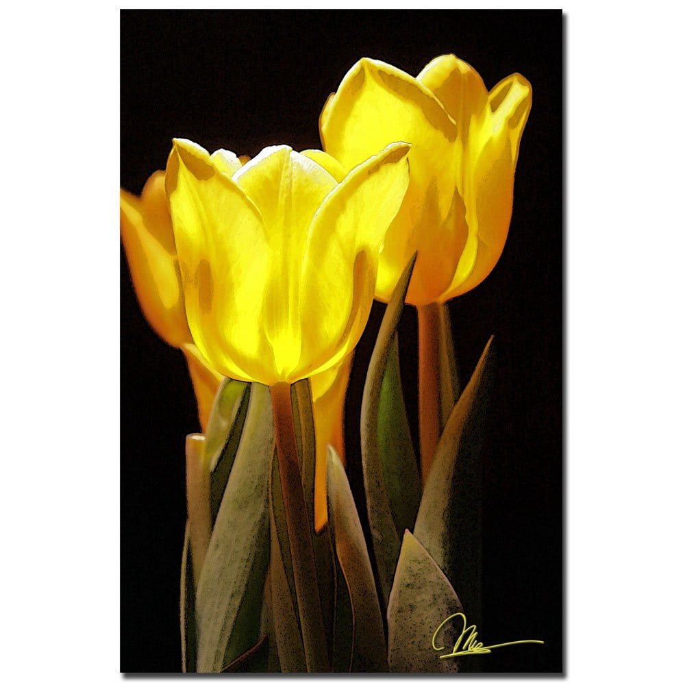 Trademark Fine Art "Yellow Tulips II" Canvas Art by Martha Guerra, 16x24