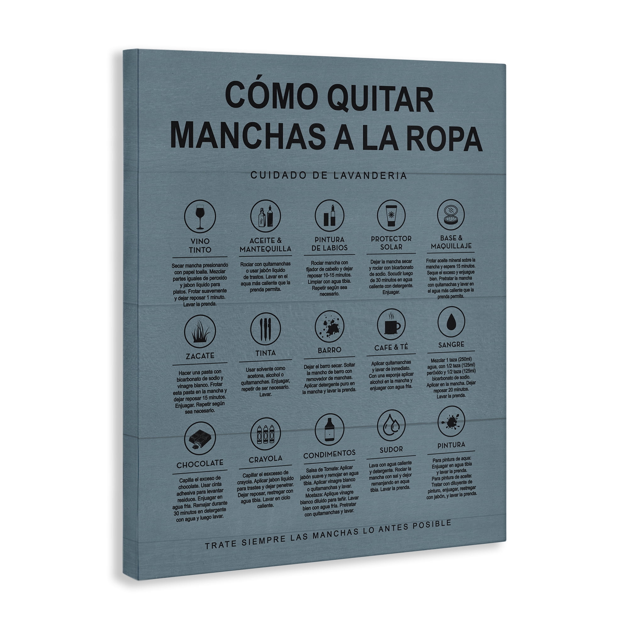 Stupell Industries Guía de Limpieza de Manchas, Azul Bath & Laundry Painting Wrapped Canvas Art Print Wall Art, 36 x 48