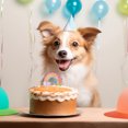 thumbnail image 3 of Baohd Rainbow cake plugin card insertion, 3 of 9