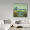 thumbnail image 3 of Trademark Fine Art 'Windsor Blue Field III' Canvas Art by Silvia Vassileva, 3 of 3