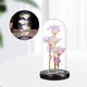 thumbnail image 3 of Regalos de Rosas para Novias, Mujeres, Mujeres, Flores Artificiales, Regalos para El Valentín, Flores de Cristal , Regalos de C Luz colorida negra perfecl cúpula de globo rosa, 3 of 7