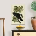 thumbnail image 4 of Great Big Canvas "Raven"  by John James Audubon Black Dark Forest Green   Wrapped Canvas Print Wall Artwork, 4 of 7