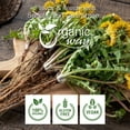 thumbnail image 5 of Organic Way Dandelion Root Powder (Taraxacum officinale) - Herbal Tea | European Wild-Harvest | Organic & Kosher Certified | Non GMO & Gluten Free | USDA Certified | Origin - Albania (1/4LBS / 4Oz), 5 of 5