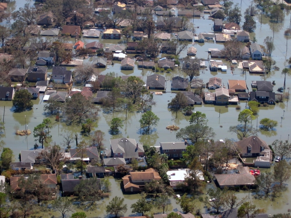 New orleans levee improvement after hurricane katrina essay picture