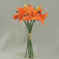 thumbnail image 4 of 1 Pc, 11.5 Inch Tiger Lily Bundle w/4 Blooms Perfect For Decorations, Bridal Showers/Wedding Bouquets & Centerpieces - Cream, 4 of 5