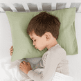thumbnail image 3 of Comfy Cubs Toddler Pillow with Muslin Pillowcase, 13" x 18" - Microfiber Fill, Sage, 3 of 7