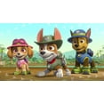 thumbnail image 5 of Paw Patrol: Summer Rescues, 5 of 5