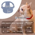 thumbnail image 3 of Conjunto de sombrero solar y gafas de sol para perros pequeños Jadive azul, 3 of 7