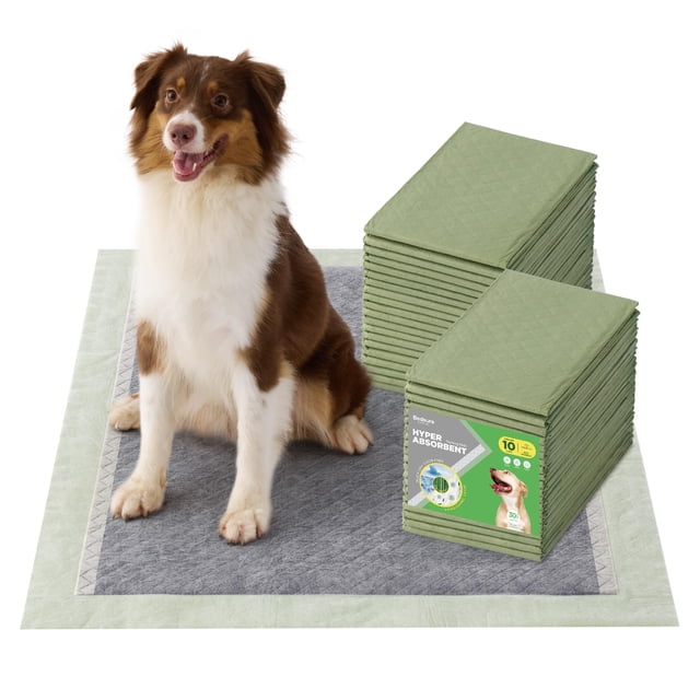 Alfombrillas para perros Bedsure extra grandes 30 unidades súper absorbentes