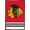 Bronze Framed Version, variant on NHL Chicago Blackhawks - Logo 21 Wall Poster, 22.375" x 34"
