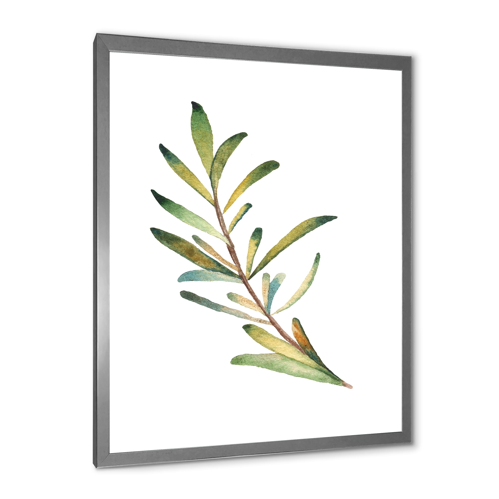 Designart 'Leaf Rosemary Branch on White' Traditional Framed Art Print