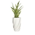 thumbnail image 1 of Artificial Faux Real Touch 4.67 Feet Tall Agave With Planter, 1 of 3
