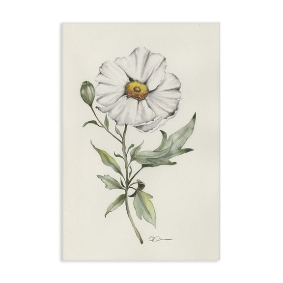 Stupell Industries Cottage Natural Wild Blossom Sprig Canvas Art, 16 x 24, by Cady Driver