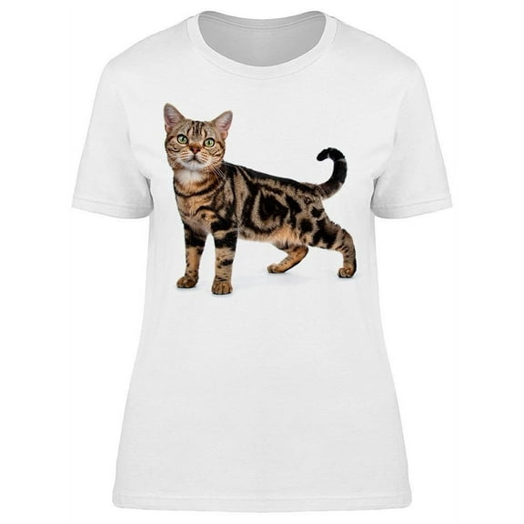 Shorthair Cat Standing T-Shirt Women -Image by Shutterstock, Female XX-Large