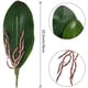 thumbnail image 2 of Hojas de OrquíDeas Phalaenopsis Plantas de Contacto de LáTex de RaíCes Artificiales de Aspecto Real Arreglo de Hojas de Imitación, 12 Piezas, 2 of 6