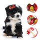 thumbnail image 1 of Pet Hair Rings Balacoo Bowknot Shape Hair Ties for Decoration 20Pcs, 1 of 4
