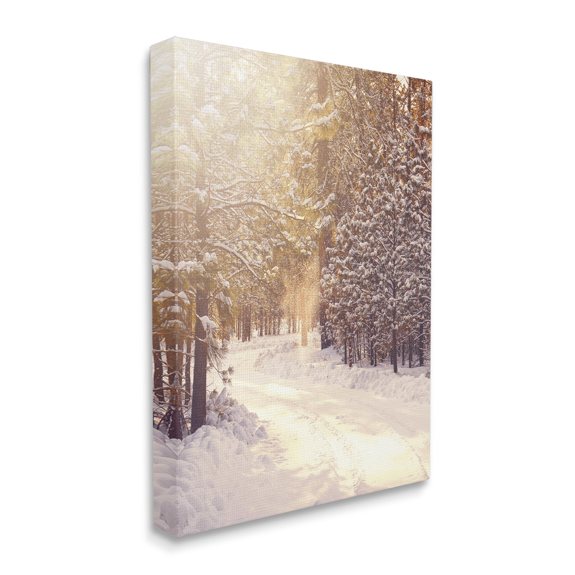 Stupell Industries Snowy Winter Path Nature Photography Gallery Wrapped Canvas Print Wall Art, 36 x 48
