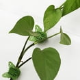 thumbnail image 4 of 10Pcs Butterfly Shape Wall Vines Plant Climbing Wall Clip Sticky Hook, 4 of 6