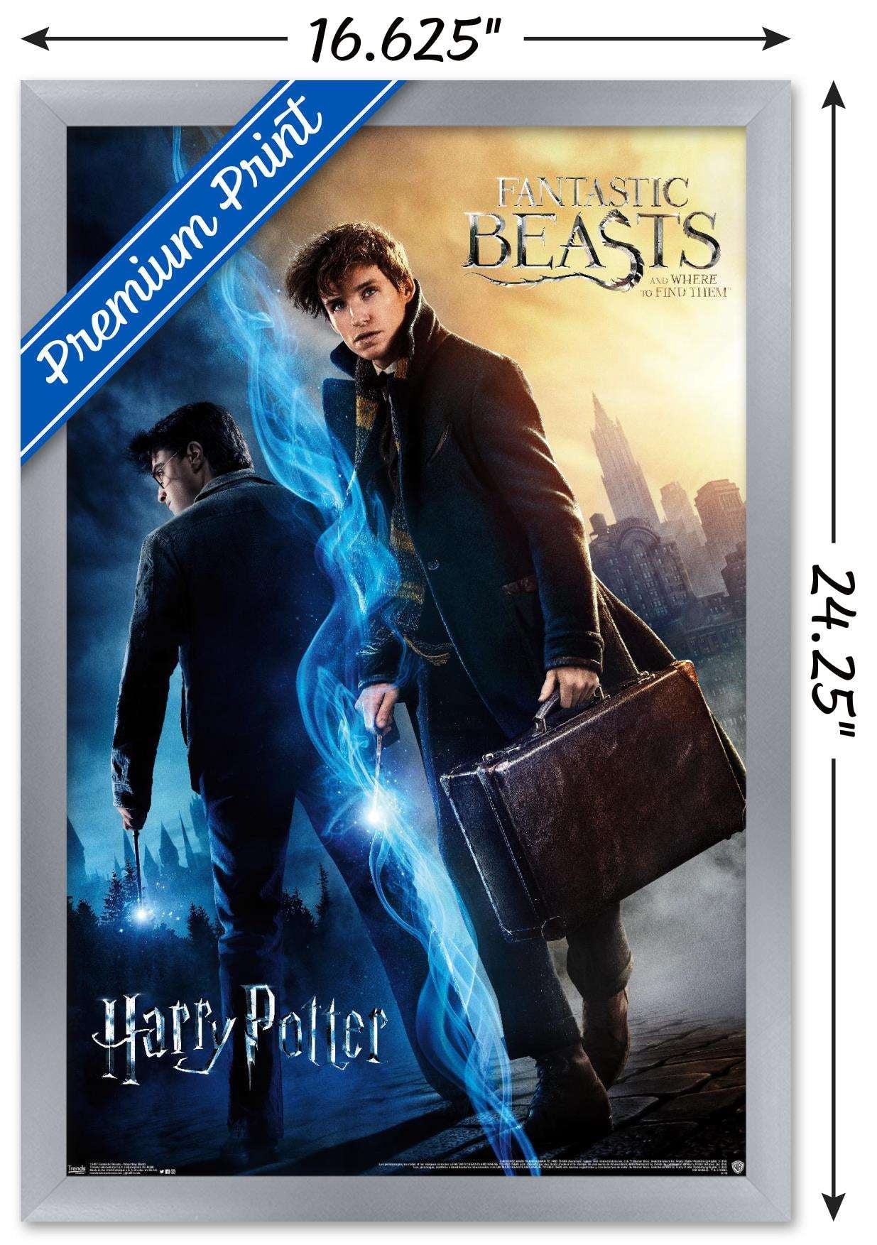 The Wizarding World: Harry Potter and Fantastic Beasts Wall Poster, 14.725" x 22.375", Framed