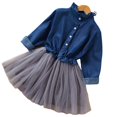 thumbnail image 2 of Enfants Bébé Filles Denim Robe Enfant en Bas Âge Tulle Bouton Robes Automne Hiver Robe de Mode Décontractée pour 2-8 Ans, 2 of 6