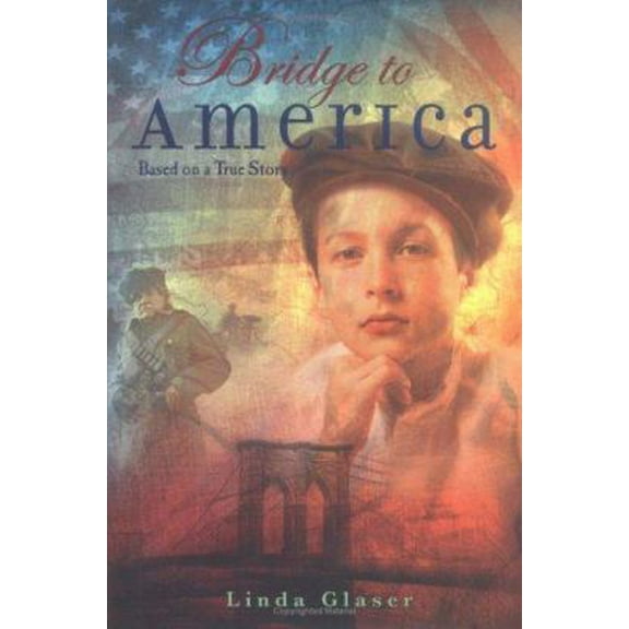Pre-Owned Bridge to America: Based on a True Story (Hardcover) 0618563016 9780618563012