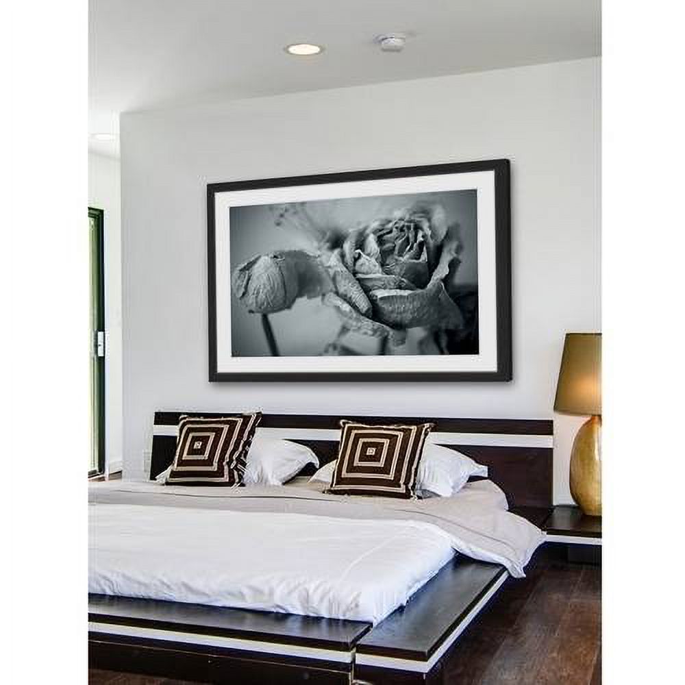 Roses in Slumber II Framed Painting Print