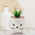thumbnail image 4 of kjfeif Unique Design Animal Pot Ceramic Succulent Plant Pot , Cactus Potted Planting Bonsai Pots Set , Boho Flower Plant Pots for Indoor and Outdoor Gardening, 4 of 5