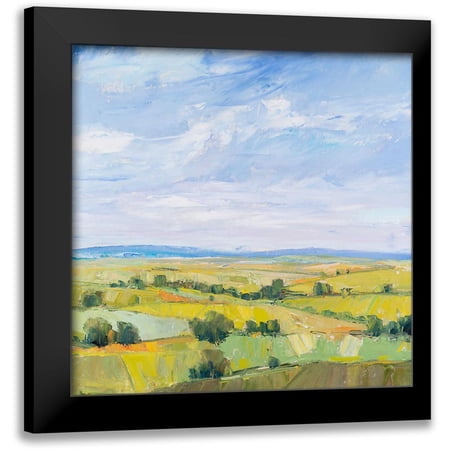 OToole, Tim 12x12 Black Modern Framed Museum Art Print Titled - Picturesque View I