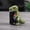 Dinosaur A4, variant on 2026 Shark Can Cover |3D Printed Drink Can Dust Cover for Soda Cans(1PCS)