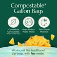 thumbnail image 2 of Compostable* Gallon Size Food Storage Bags (25 Eco Zip) Freezer and Leak Proof, Also Available Quart, Snack Sandwich, 2 of 3