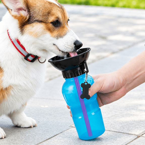 Innovative Dog Water Bottle, 21oz Portable Pet Water Dispenser with Folding Bowl, Safe and Non-Toxic, Detachable and Dishwasher Safe for Easy Cleaning