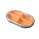 thumbnail image 2 of MoistureProof Mini Weekly Organizer Box 4 Grids Portable For Travel With Removable Individual Containers, 2 of 7
