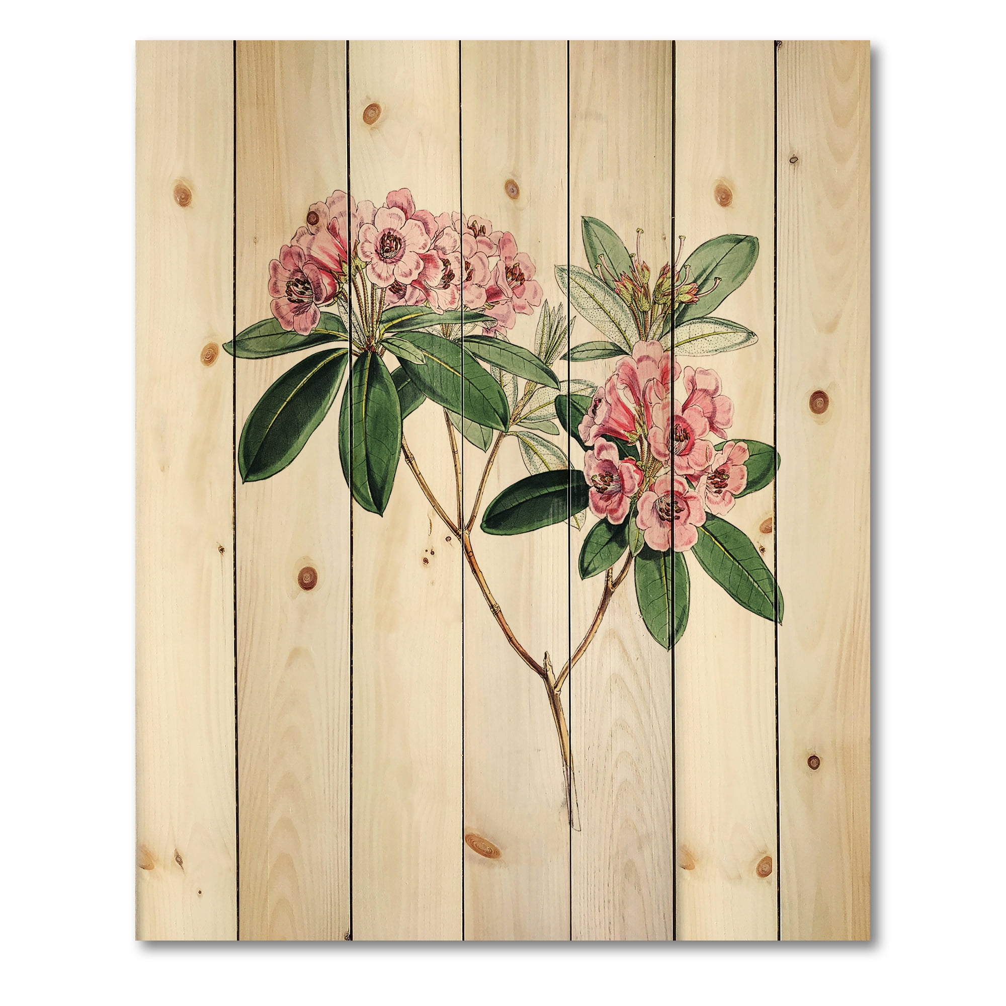 Designart 'Ancient American Flora II' Traditional Print on Natural Pine Wood