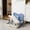 Blue, variant on FeiFu Dog Potty Tray,Pet Pee Mesh Potty with Splash Wall,Indoor Dog Training Toilet Tray, Pet Litter Box,Portable Pee Pad Holder for Small and Medium, Easy to Clean