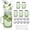 Green, variant on Mason Jars with Lids and Straws, 6 Pack 16 Oz Glass Cups for Cold Beverages, Juice, Smoothies, Iced Coffee, Cocktails Leak-Proof Drinking Glasses with Sealed & Straw Lids, Clear